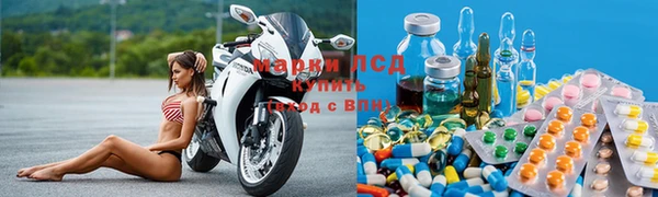 гашик Магас