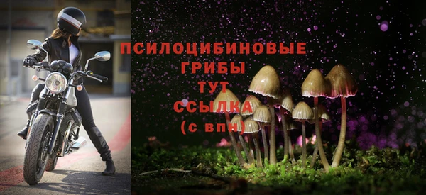 ешки Майский