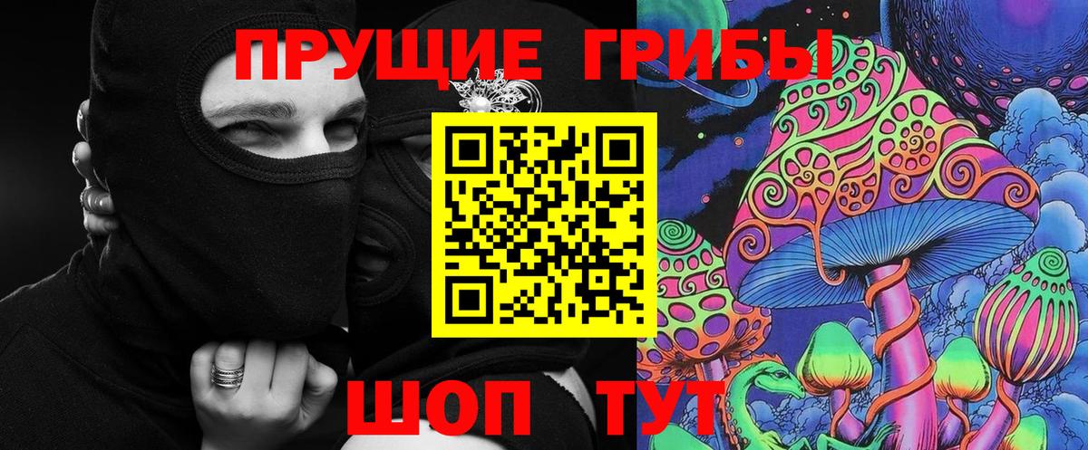 Галлюциногенные грибы Psilocybine cubensis Раменское